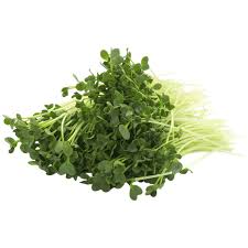 [Pickup-Only] RADISHOOTS   1PK